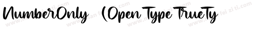 NumberOnly 粗体(Open Type TrueType)(V字体转换